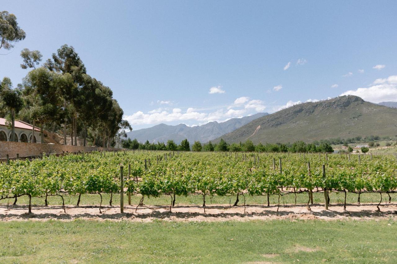 La Roche Estate Leilighet Franschhoek Eksteriør bilde
